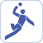Icon handball
