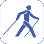 Icon Walking